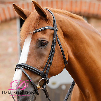 PEI Bellissima Crank Bridle with Diamante Browband