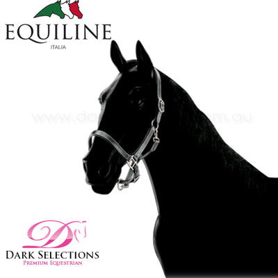 Equiline Leather Halter